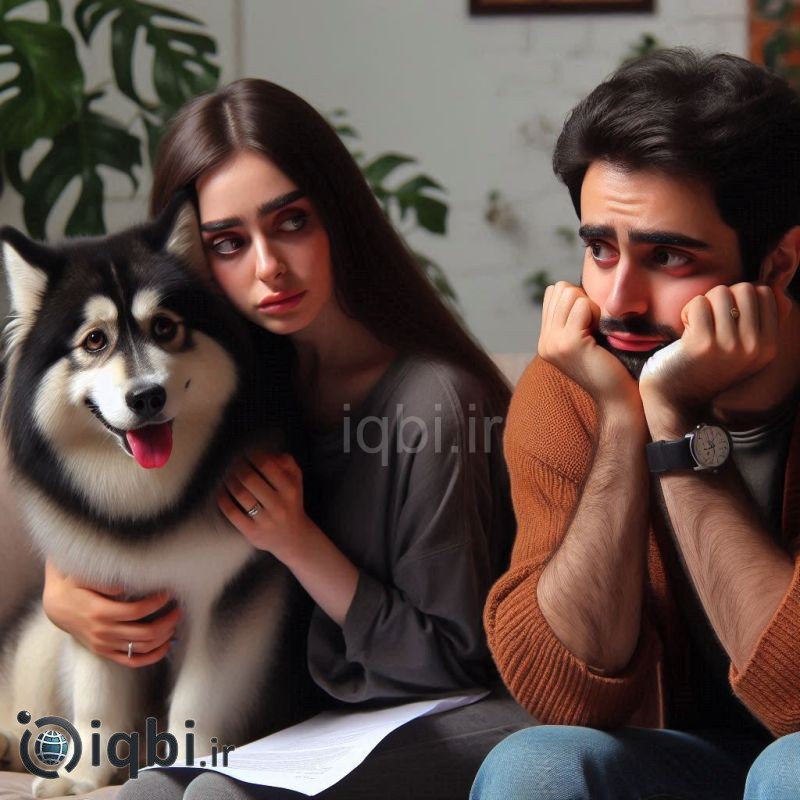 وقتی سگ‌ها جای عشق را می‌گیرند: بررسی یک بحران زناشویی